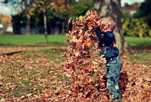 Kind wirft Herbstlaub in die Luft